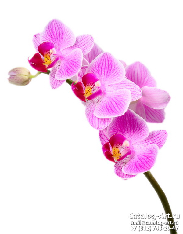 Натяжные потолки с фотопечатью - Розовые орхидеи 35